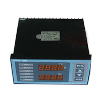 XMZB-3102智能數顯表